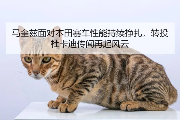 ma-kui-zi-mian-dui-ben-tian-sai-che-xing-neng-chi-xu-zheng-zha-zhuan-tou-du-ka-di-chuan-wen-zai-qi-feng-yun-2-552.jpg